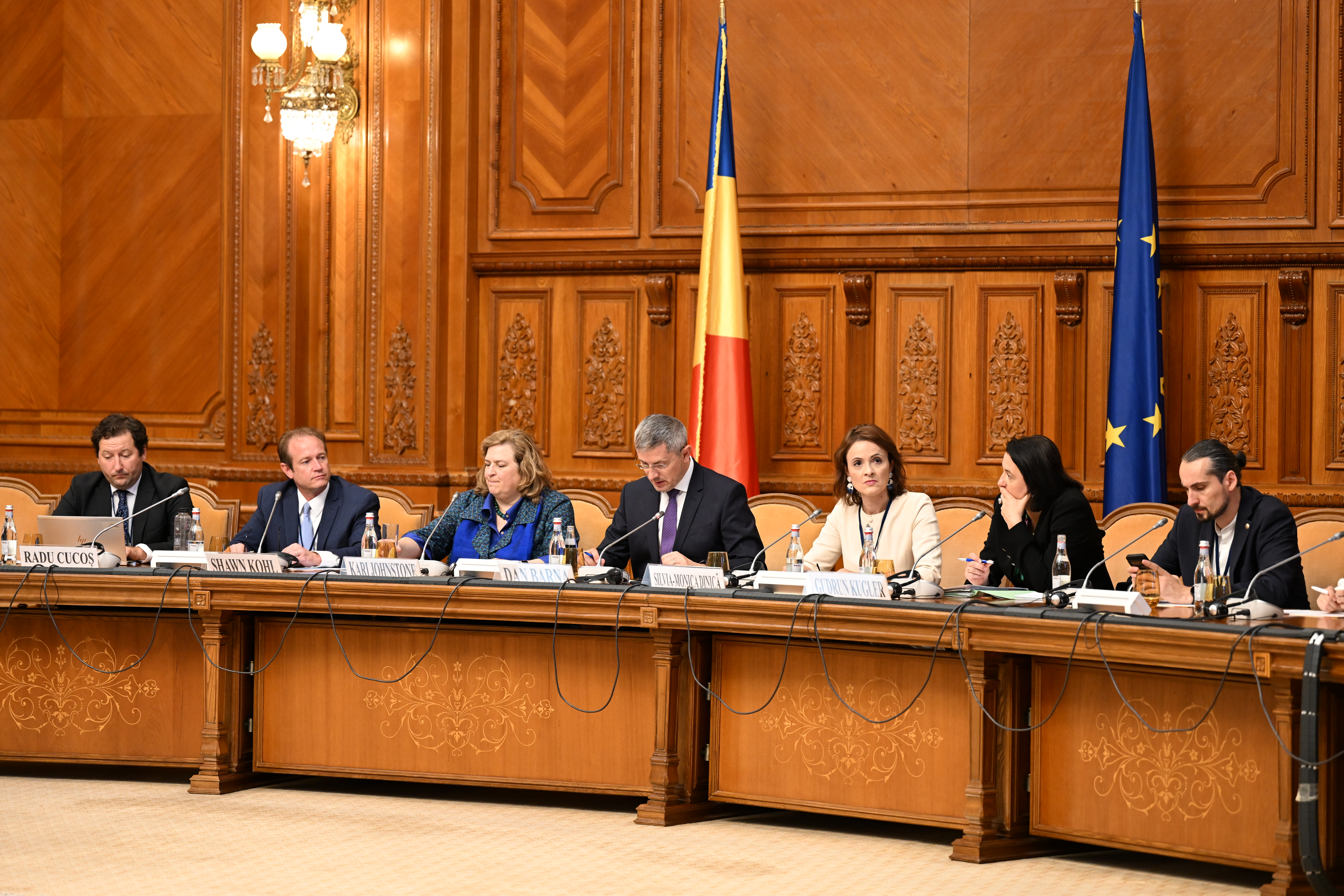 Participarea senatoarei Silvia-Monica Dinică la dezbaterea privind prevenirea folosirii tehnologiei pentru traficul  de ființe umane